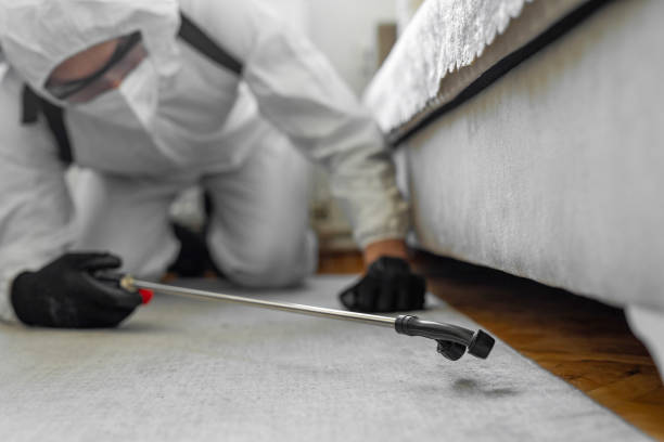 Professional Cockroach Control technician working in Mackinac Island, MI