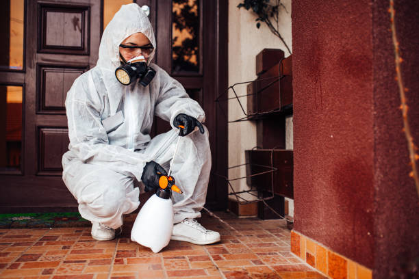 Reliable Cockroach Control contractor in Mackinac Island, MI by Nex Pest Control