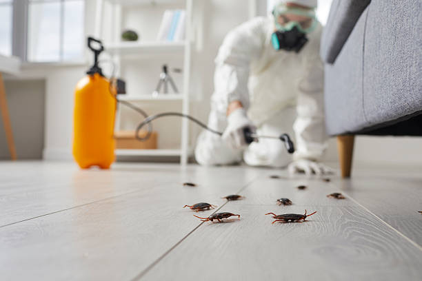 Trusted Rodent Control service in Mackinac Island, MI - Nex Pest Control