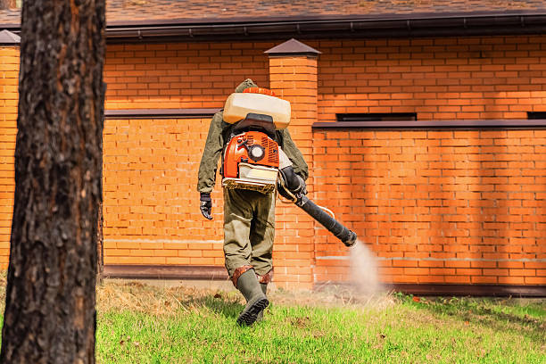 Trusted Fumigation Services service in Mackinac Island, MI - Nex Pest Control